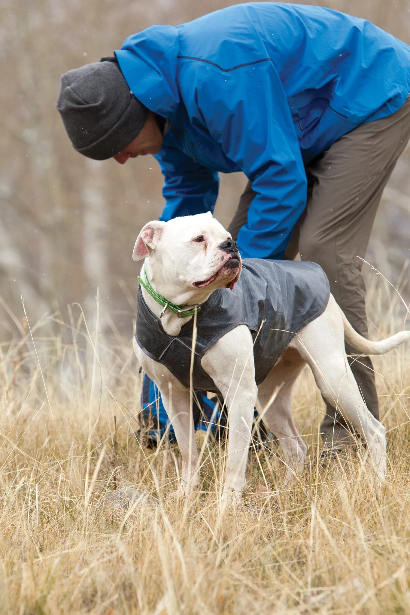 Allagash Dog Jacket