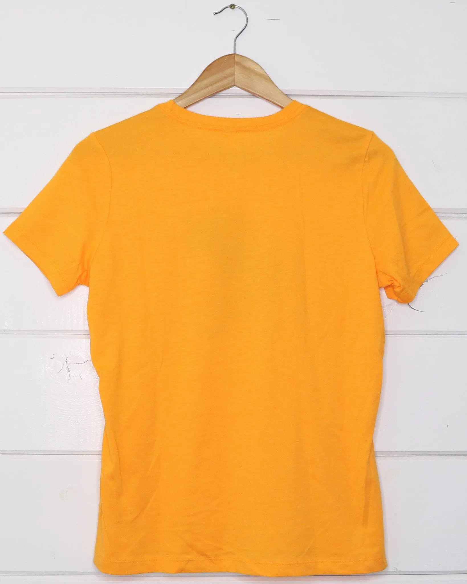 Bison Women's T-Shirt