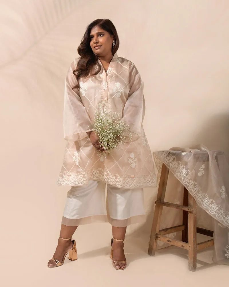 Enchanted Blush Orgnaza Kurta Set