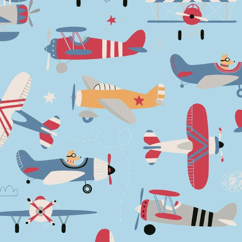 The Road Coat Down -  Airplane Print