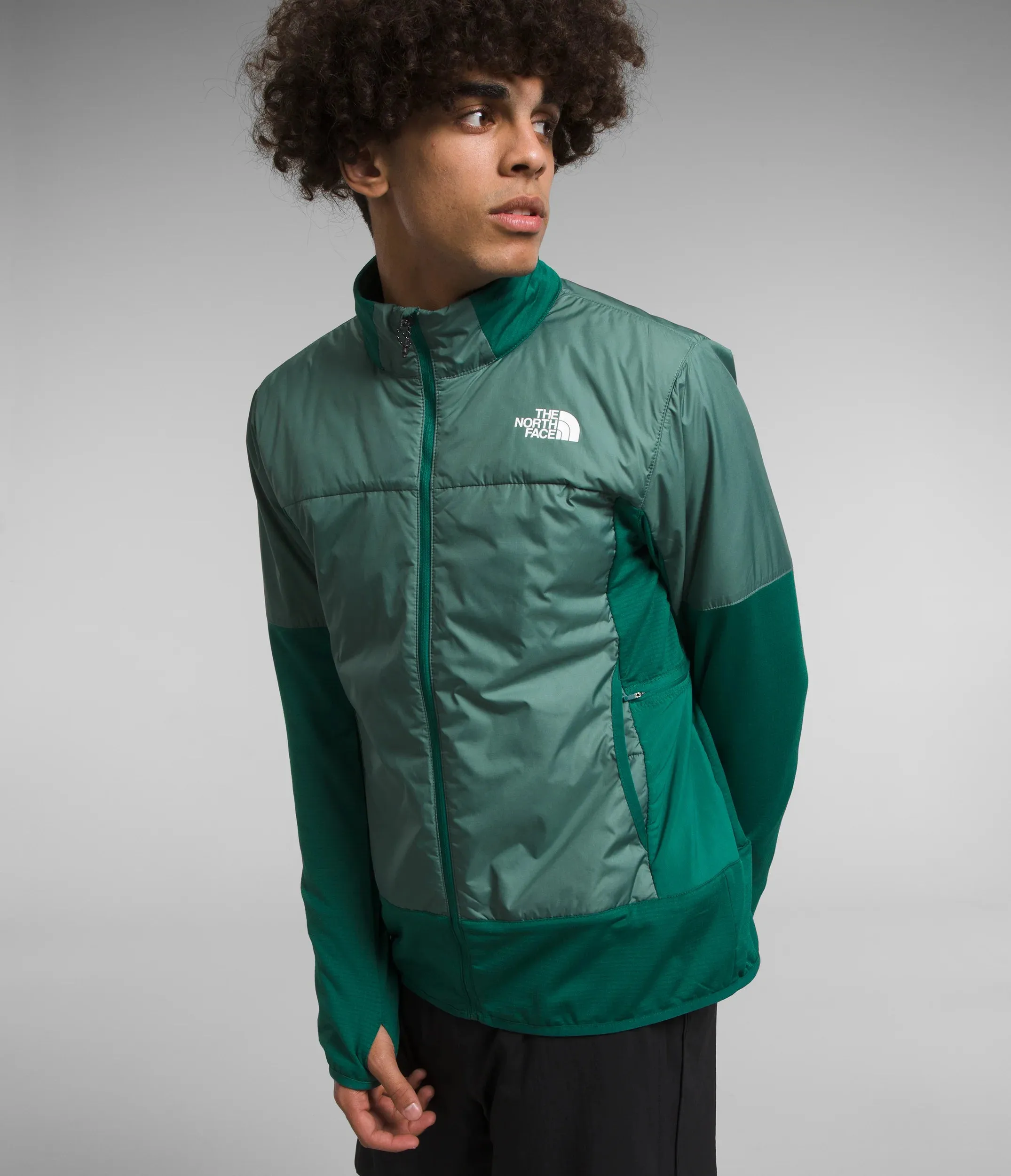 Winter Warm Pro Jacket (Men's) - NF0A84KL - Past Season