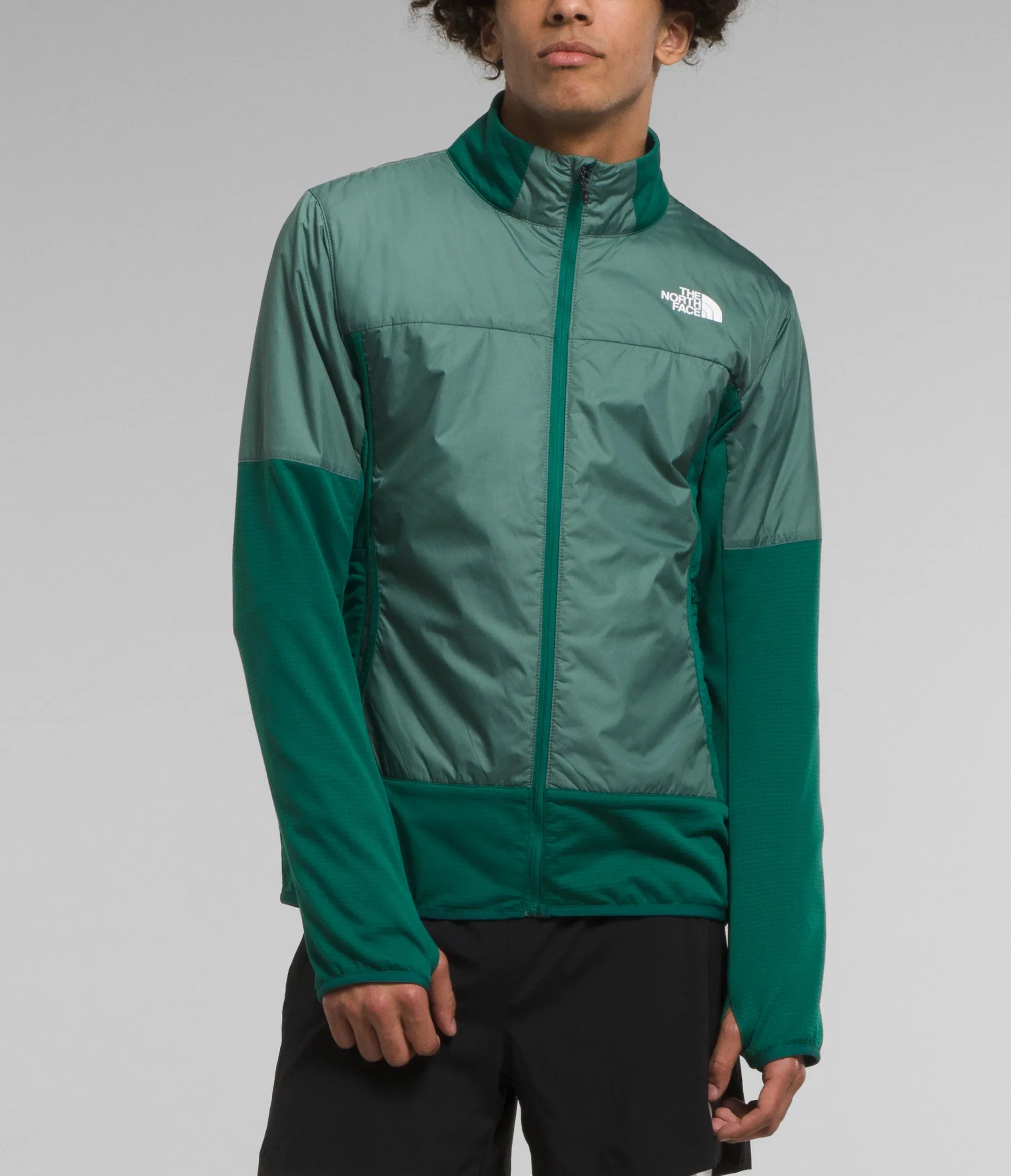 Winter Warm Pro Jacket (Men's) - NF0A84KL - Past Season